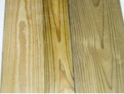 Treated Pine Lumber